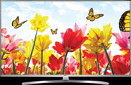 Colorful Tulipsand Butterflies4 K T V Display PNG