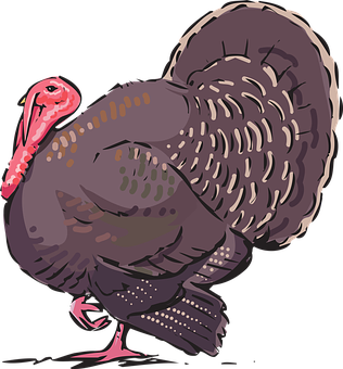 Colorful Turkey Illustration PNG