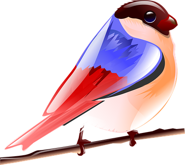 Colorful_ Vector_ Bird_ Illustration PNG