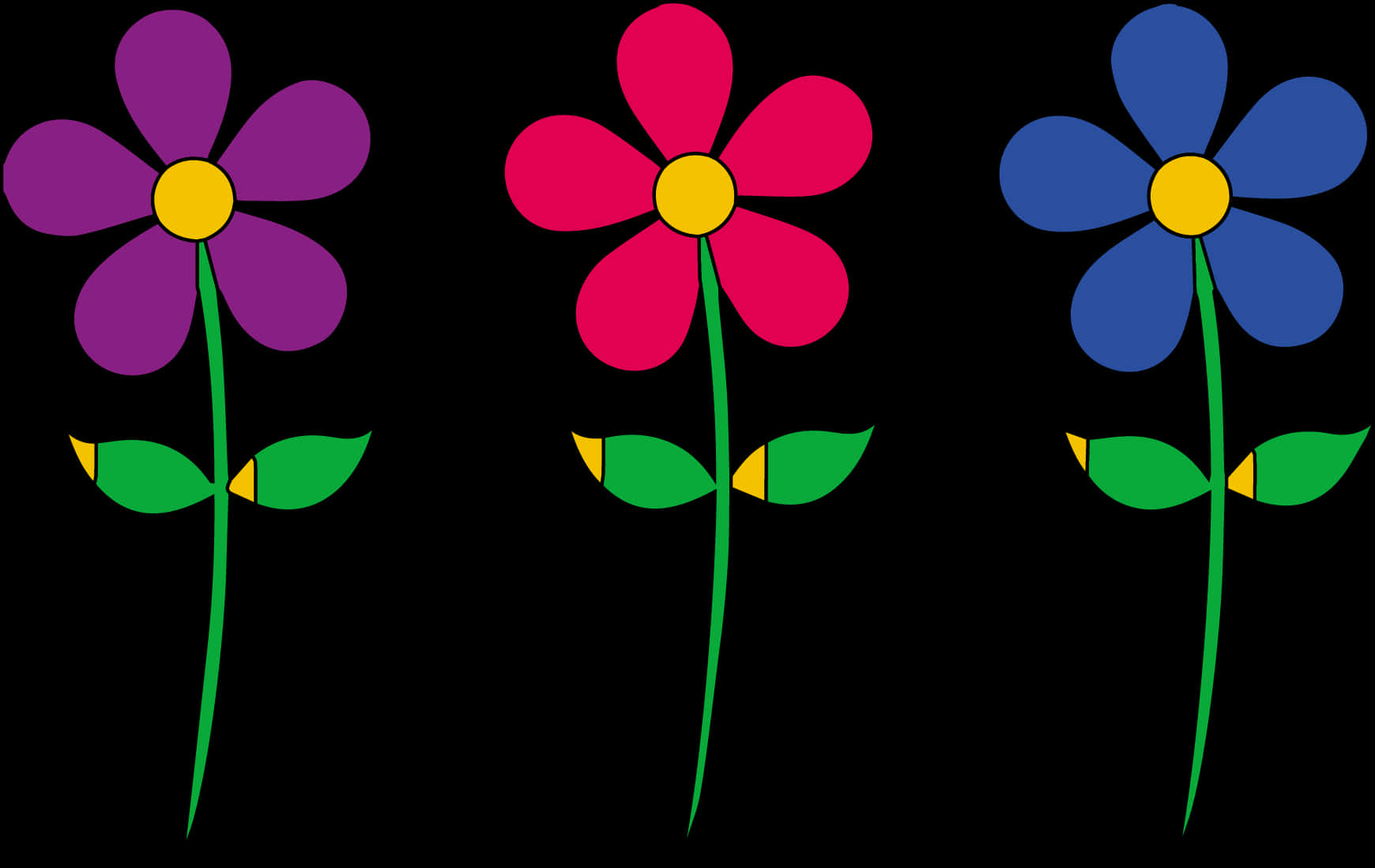 Colorful Vector Daisies PNG