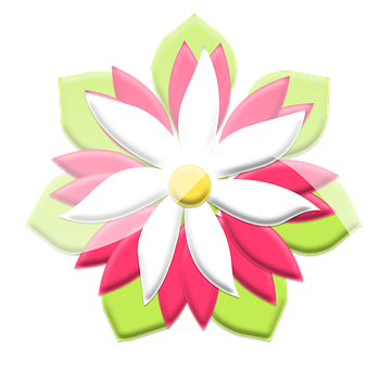 Colorful Vector Flower Illustration PNG
