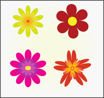 Colorful Vector Flowers Illustration PNG