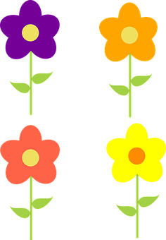 Colorful Vector Flowers Illustration PNG