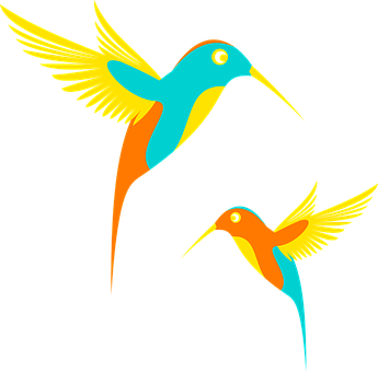 Colorful Vector Hummingbirds PNG