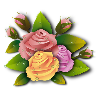 Colorful Vector Roses Illustration PNG