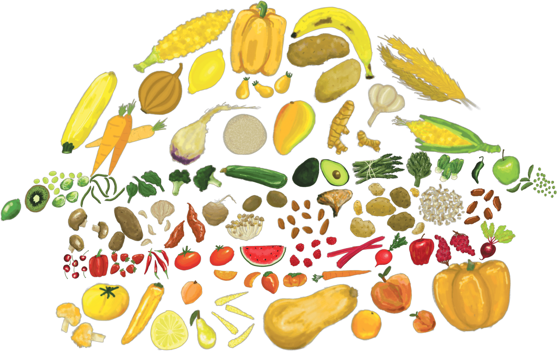 Colorful Vegetablesand Fruits Circle PNG