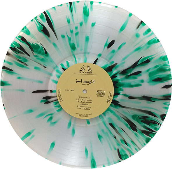 Colorful Vinyl Record Joel Magid Hyenas PNG