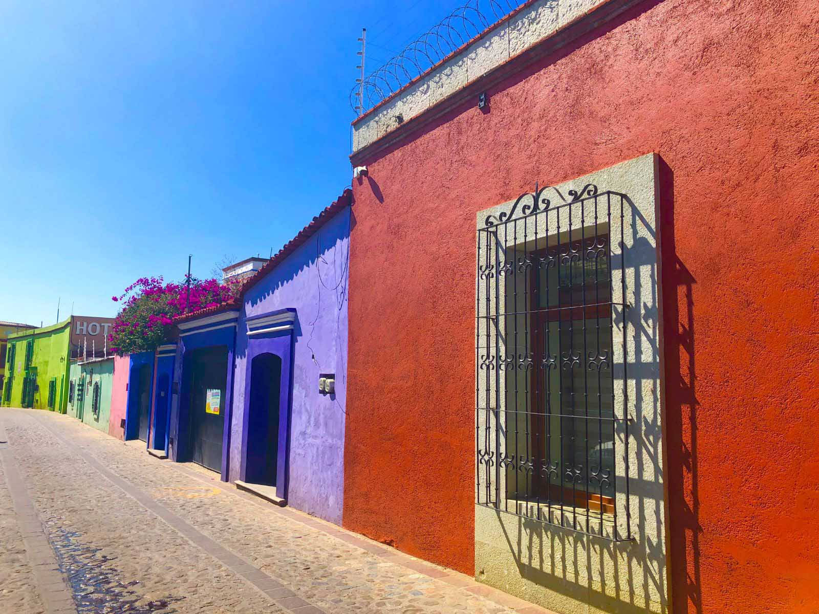 Colorful Walls In Oaxaca Picture