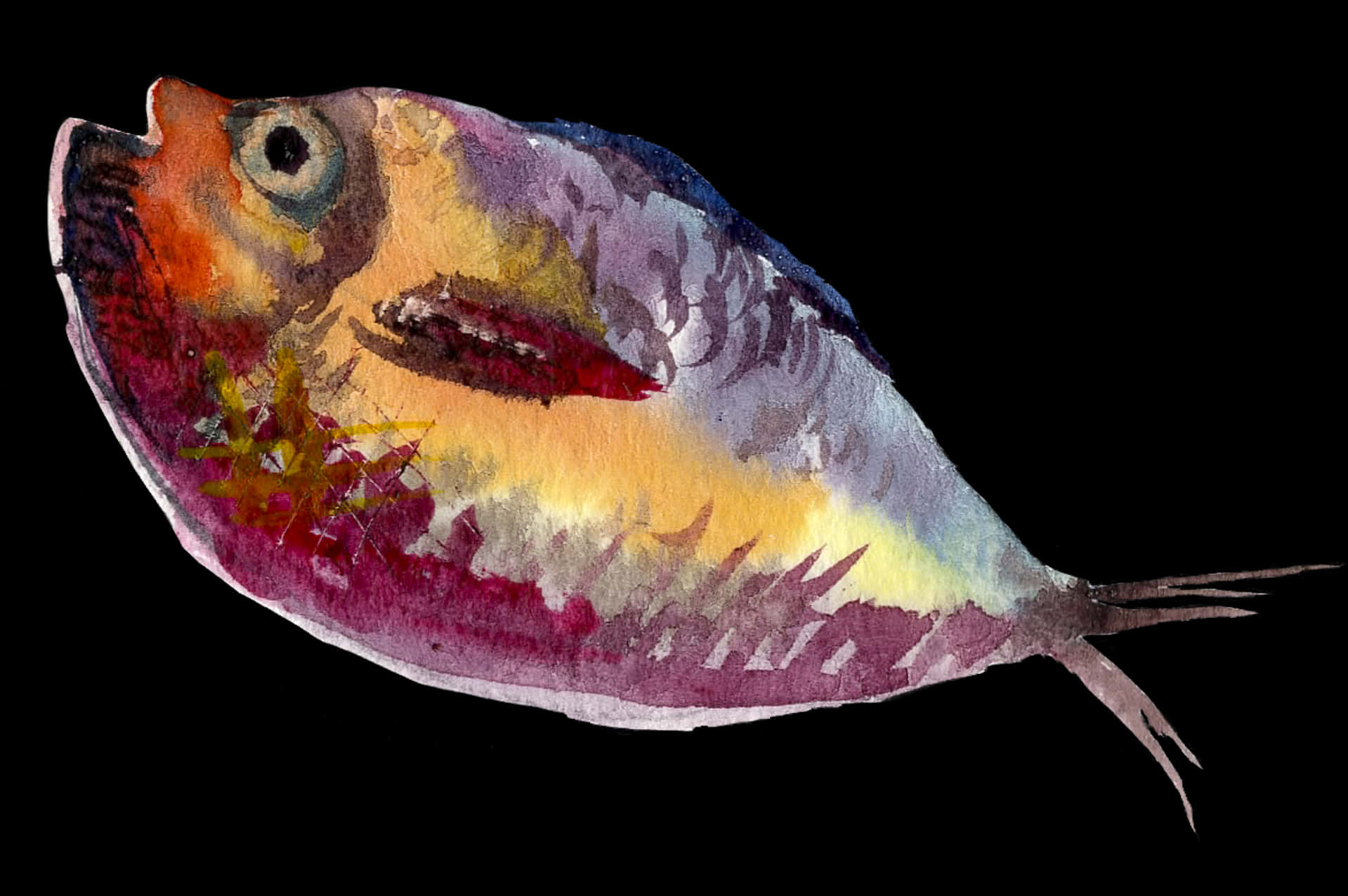 Colorful Watercolor Fish Artwork PNG