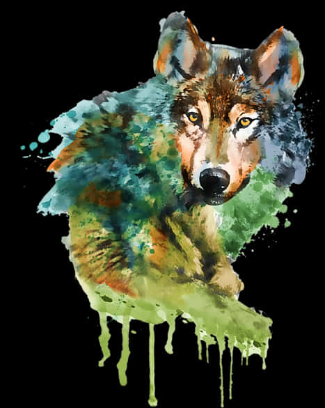 Colorful Watercolor Wolf Artwork PNG