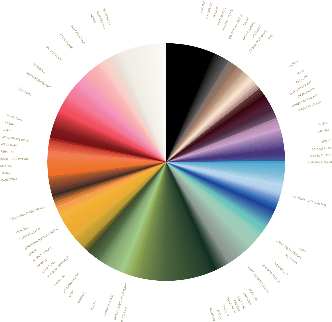 Colorful Wheel Chart Visualization PNG