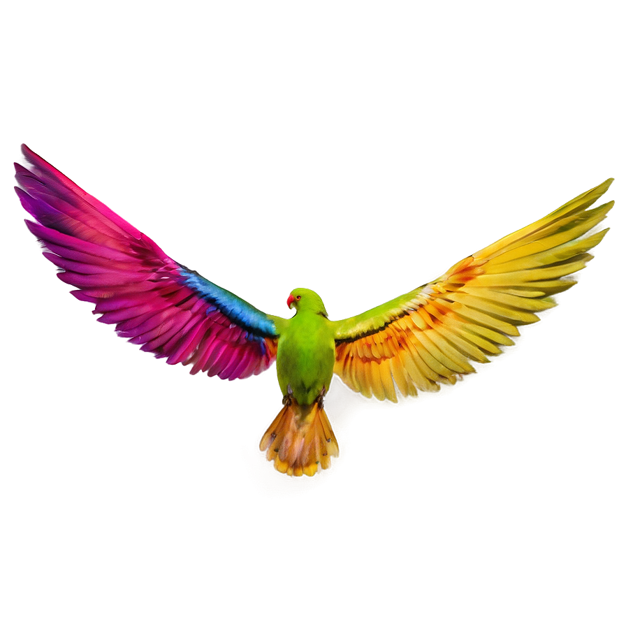 Colorful Wings Png 1 PNG