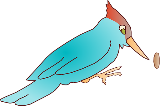 Colorful Woodpecker Illustration PNG
