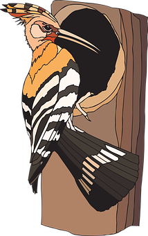 Colorful Woodpecker Illustration PNG