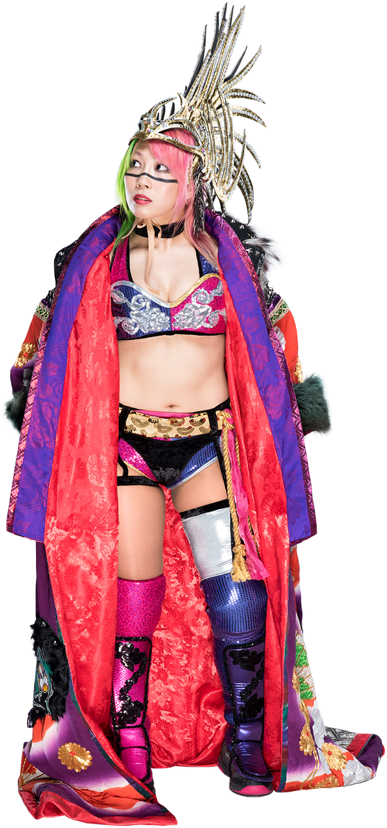 Colorful Wrestler Costume Portrait PNG
