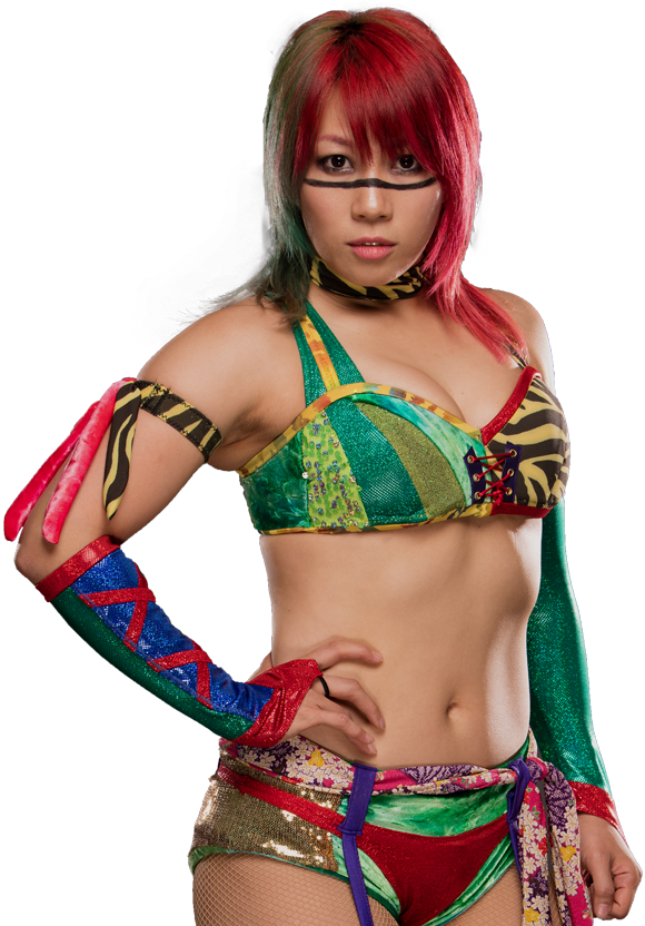 Colorful Wrestler Portrait PNG