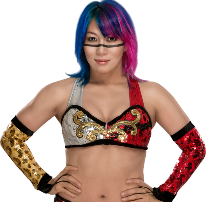 Colorful Wrestler Portrait PNG