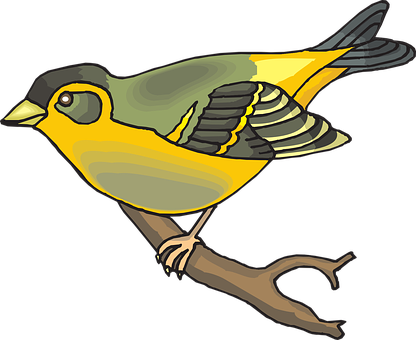 Colorful Yellow Bird Illustration PNG