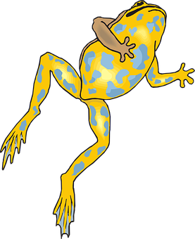 Colorful Yellow Blue Frog Illustration PNG