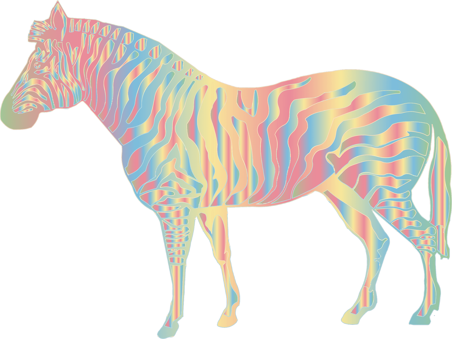 Colorful Zebra Artwork PNG