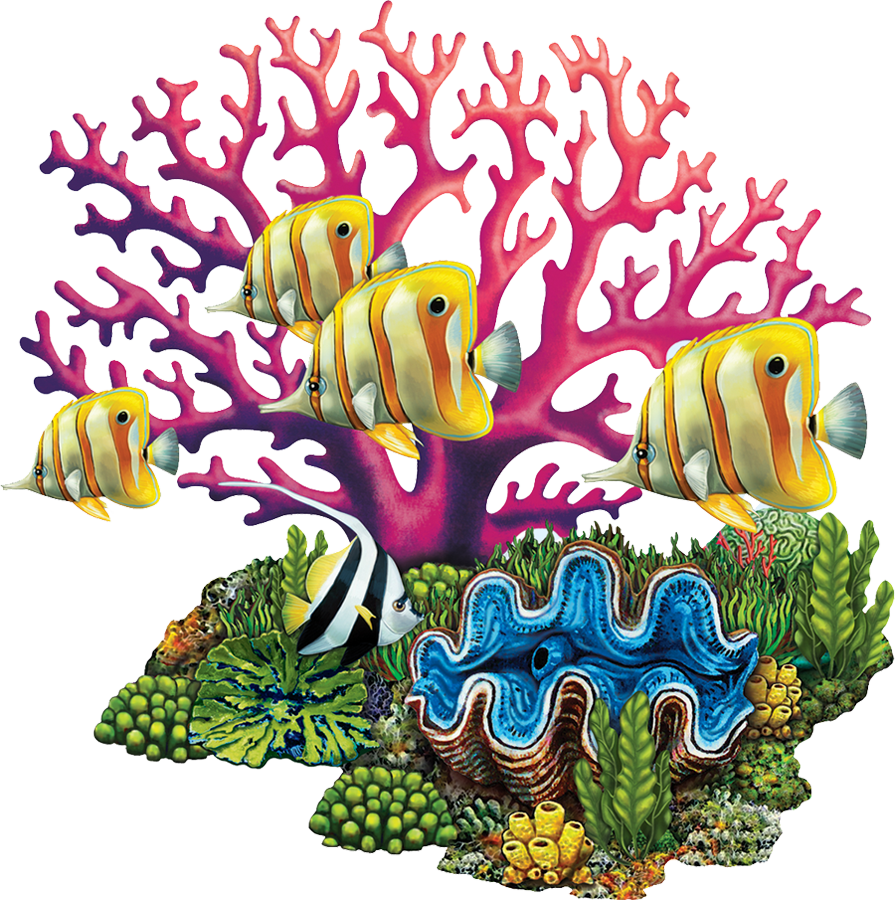 Colorful_ Coral_ Reef_with_ Tropical_ Fish PNG