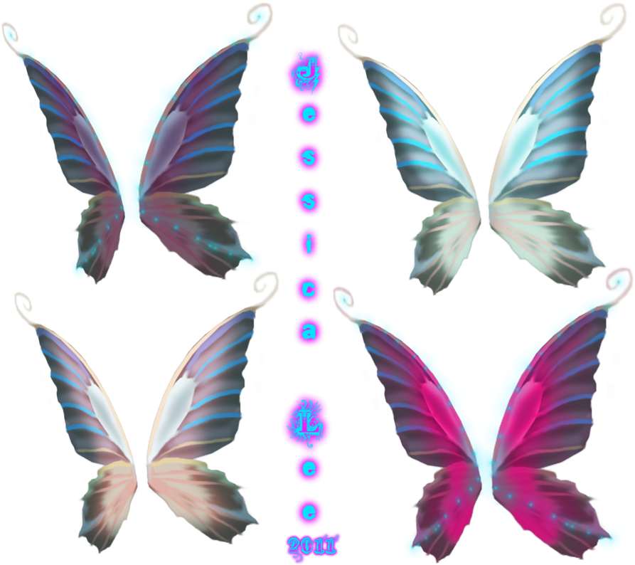 Colorful_ Fairy_ Wings_ Collection_2011 PNG