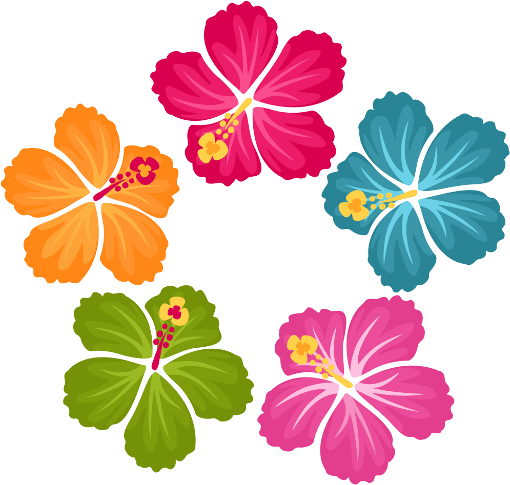 Colorful_ Hawaiian_ Hibiscus_ Flowers_ Vector PNG