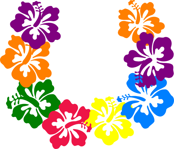 Colorful_ Hibiscus_ Flower_ Outline_ Circle PNG
