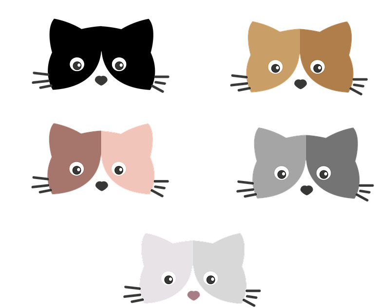 Colorful_ Kitten_ Faces_ Vector_ Illustration PNG