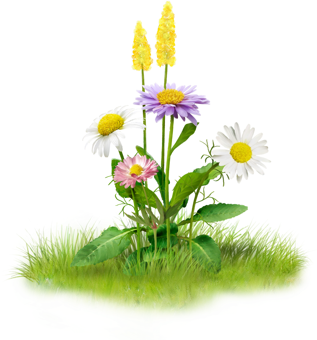 Colorful_ Meadow_ Flowers PNG