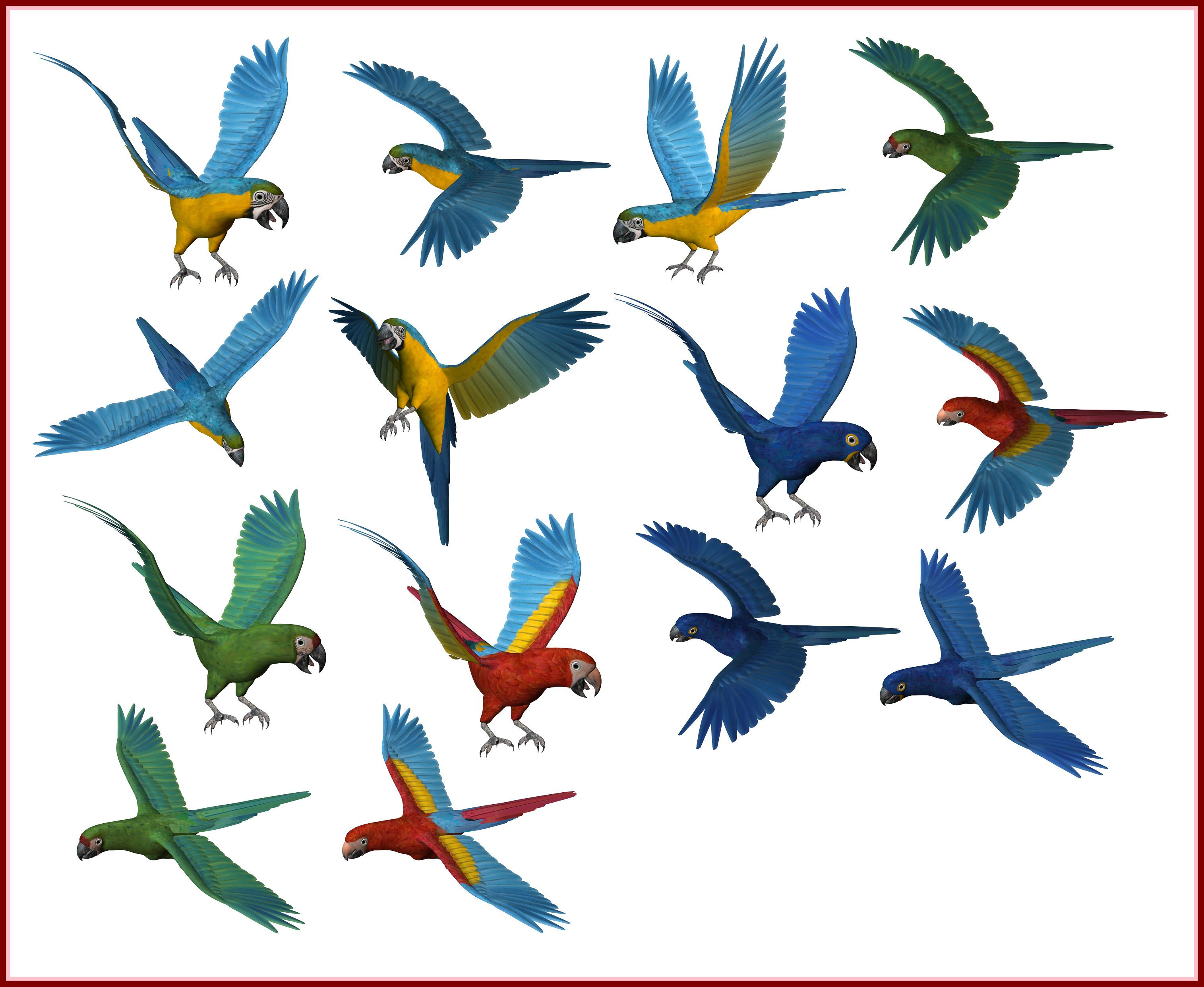 Colorful_ Parrots_in_ Flight_ Collage PNG