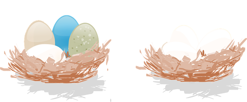 Colorfuland Plain Eggsin Nests PNG
