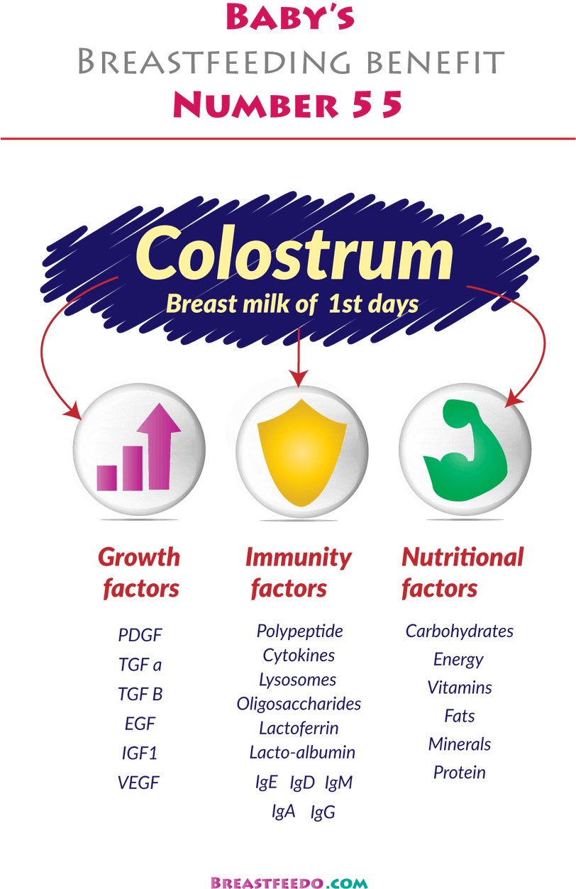 Colostrum Benefits Infographic PNG