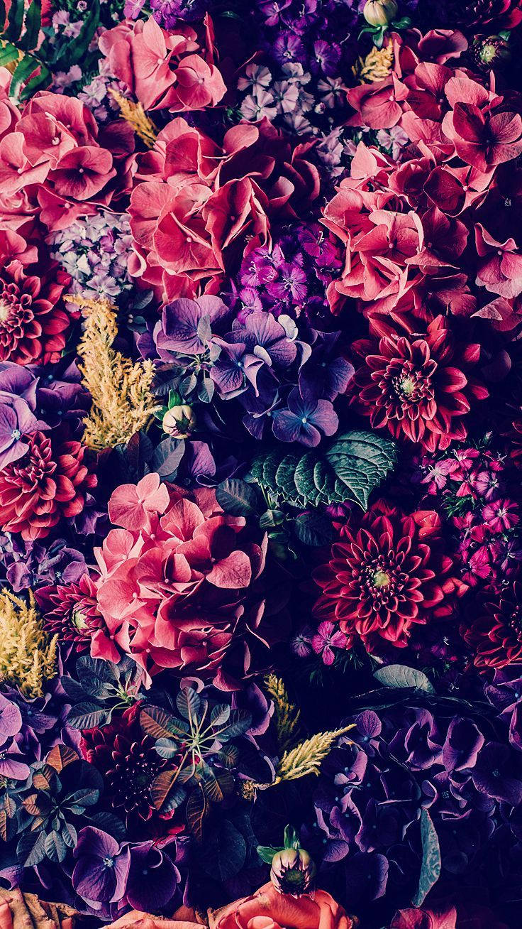 Colourful Dark Shaded Floral Iphone Wallpaper