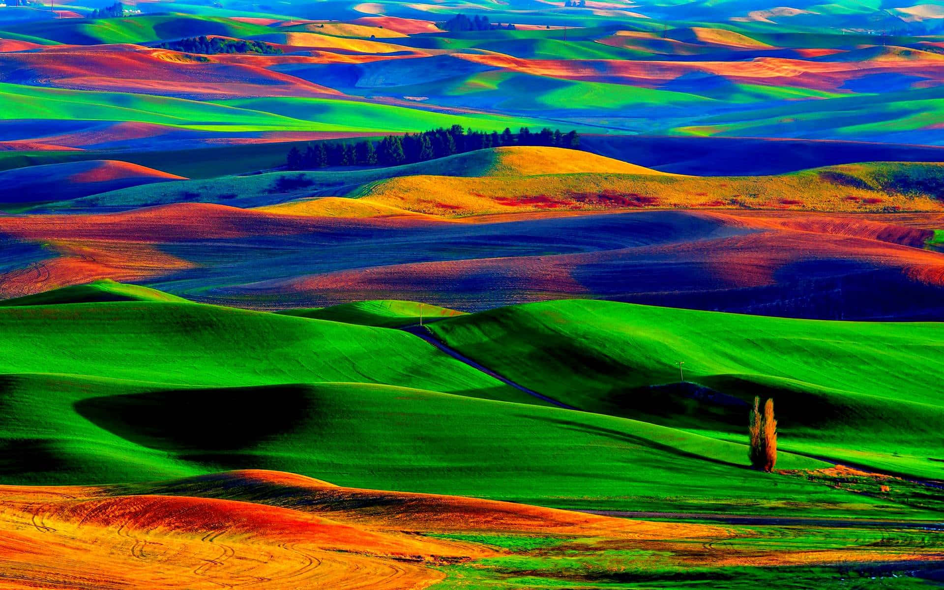 Colourful Landscape Wallpaper