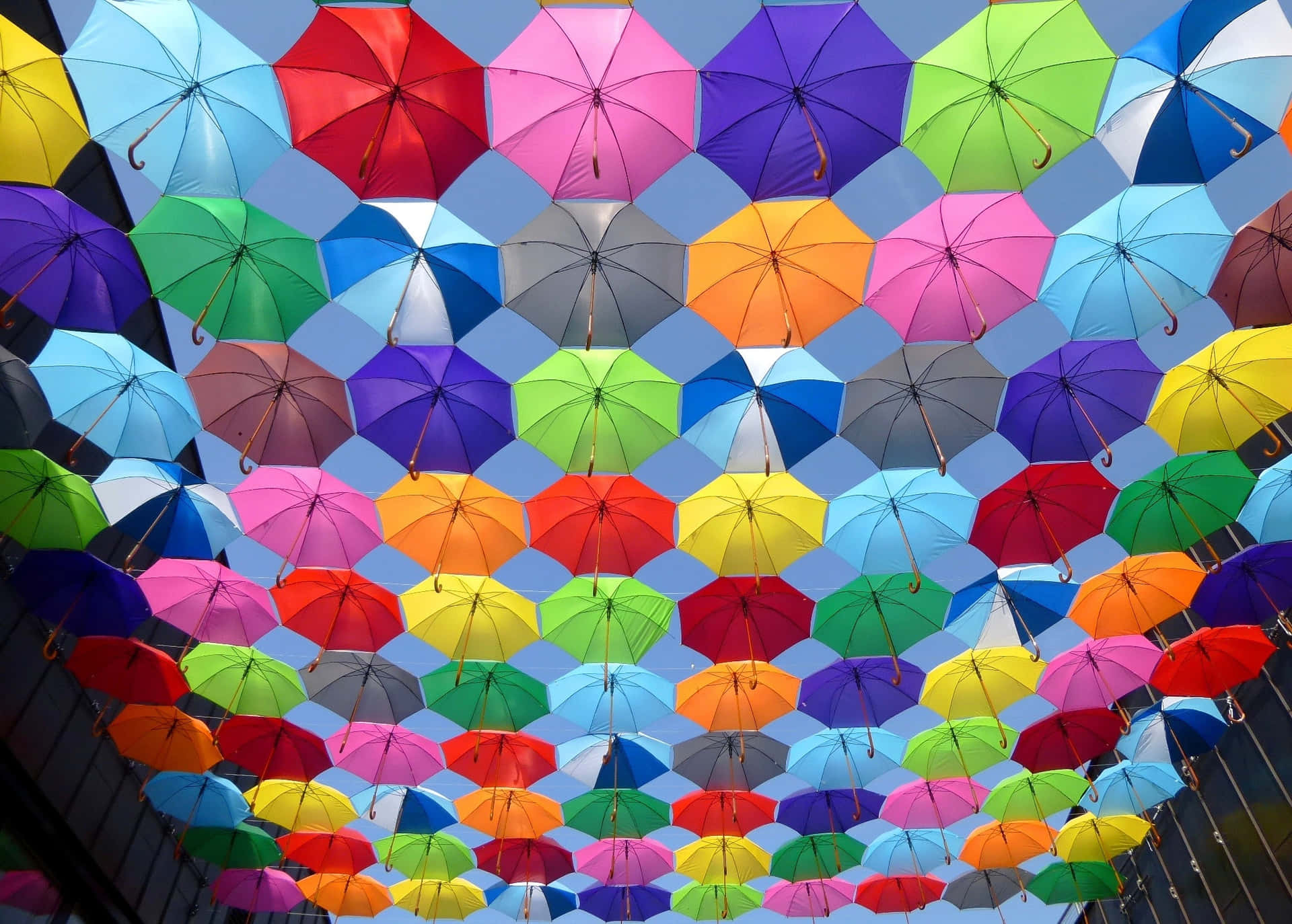 Colourful Umbrellas Wallpaper