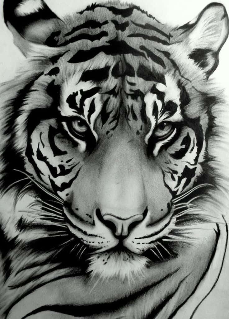 Colourless Tiger Face Wallpaper