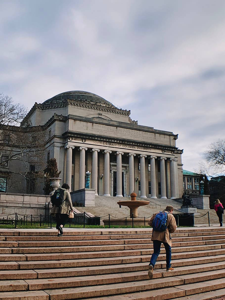 Escalinatasde La Biblioteca De La Universidad De Columbia Fondo de pantalla