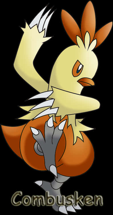Combusken Pose With Name Wallpaper