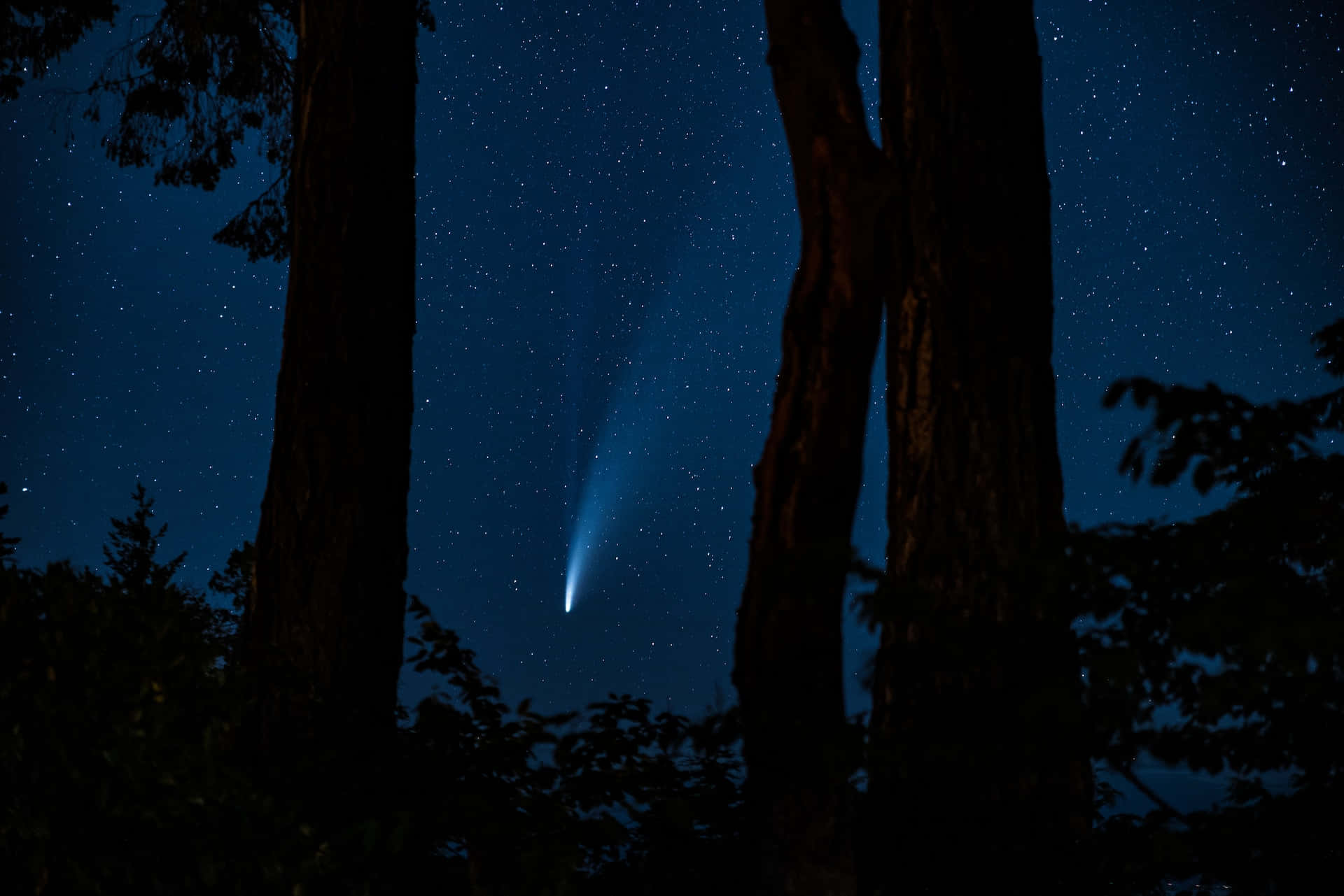 Stunning Comet in the Night Sky Wallpaper