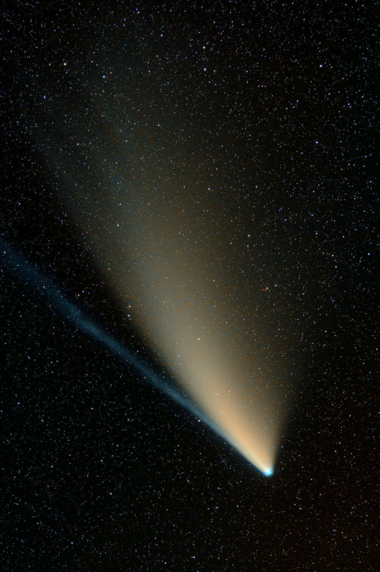 Brilliant Comet Shooting Across the Night Sky Wallpaper