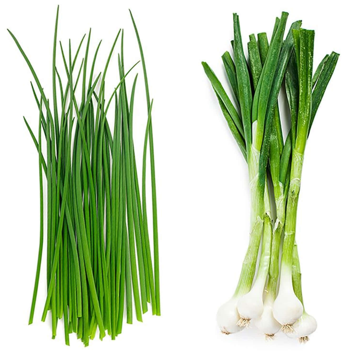 Common And Onion Chives Vegetable Wallpaper