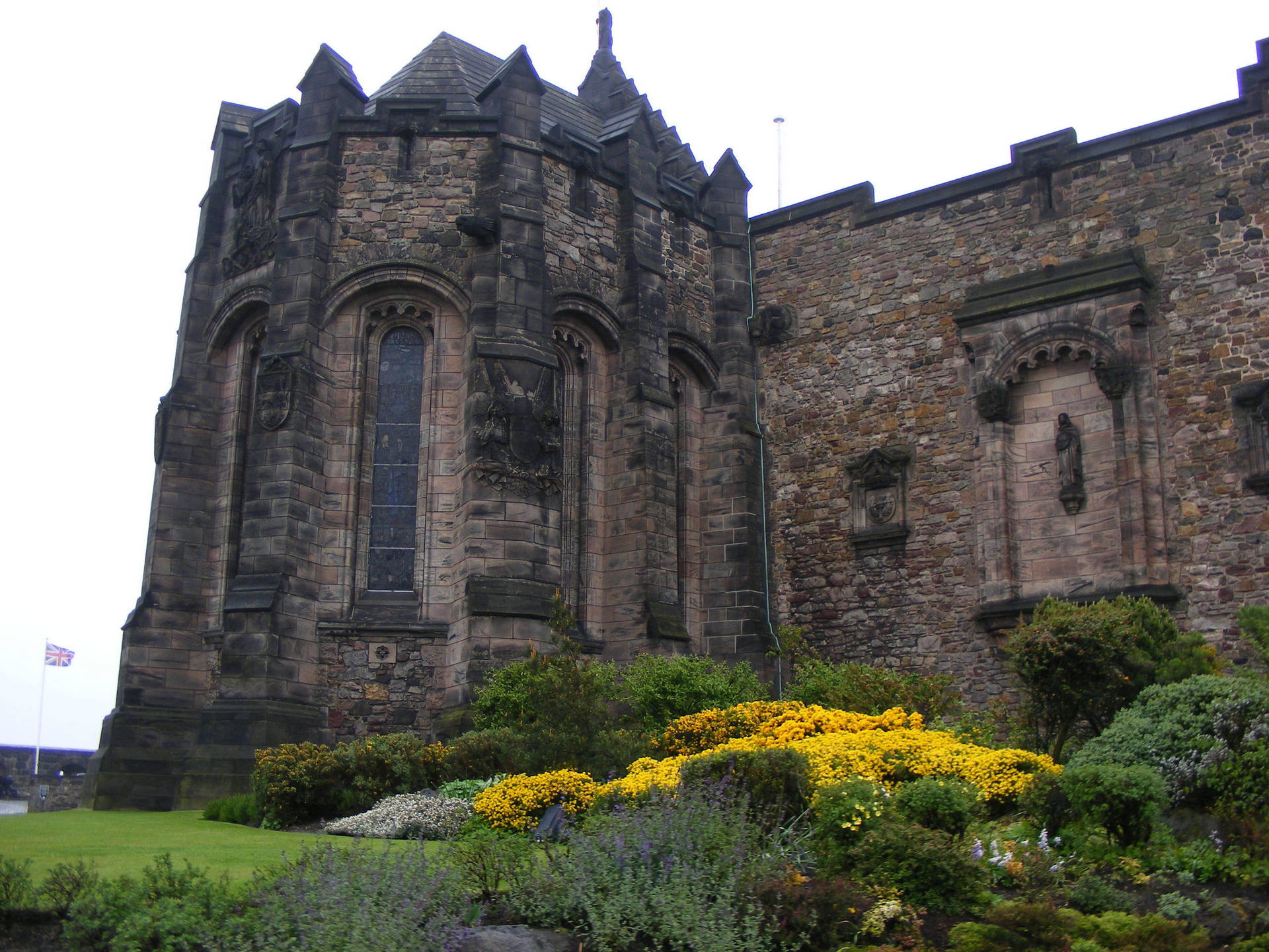 Espinillocomún En El Castillo De Edimburgo. Fondo de pantalla