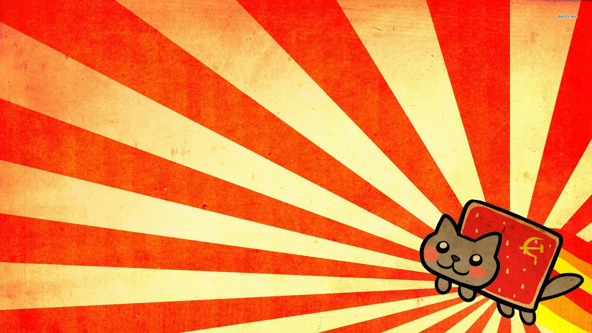 Cat meme in a bright orange and yellow stripes background wallpaper.