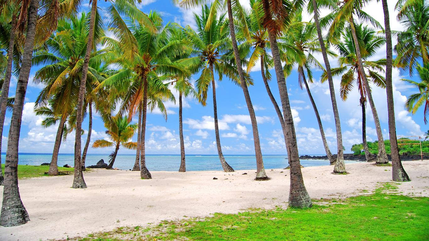 Comoros Beach Surrounded By Tall Trees Picture