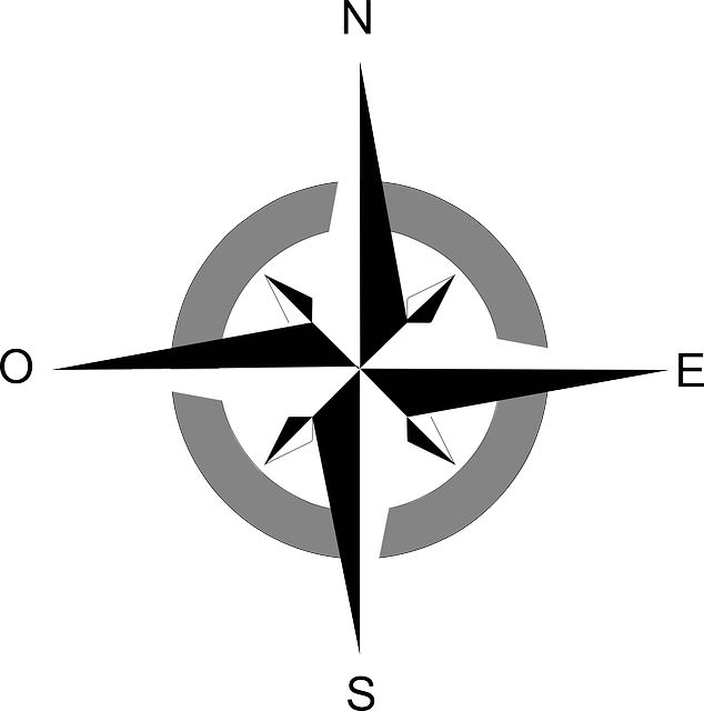 Compass Rose Graphic Design PNG