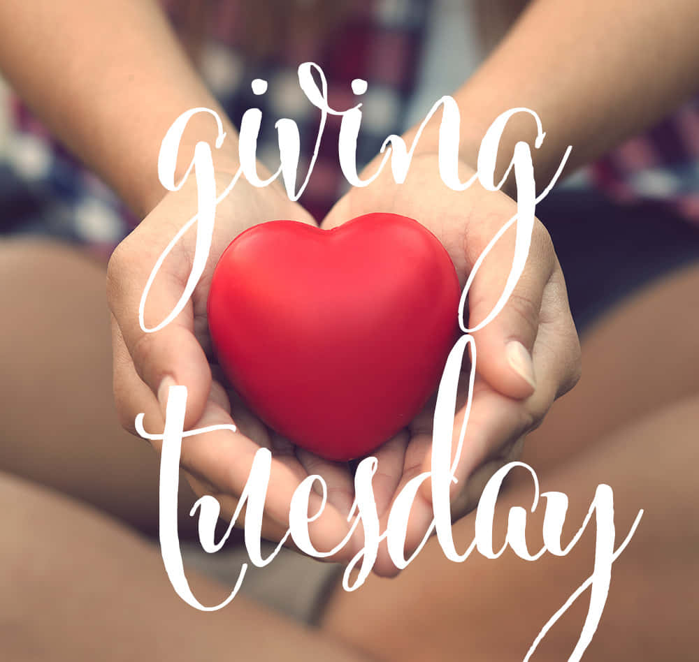 Compassionate Hands For Giving Tuesday Wallpaper