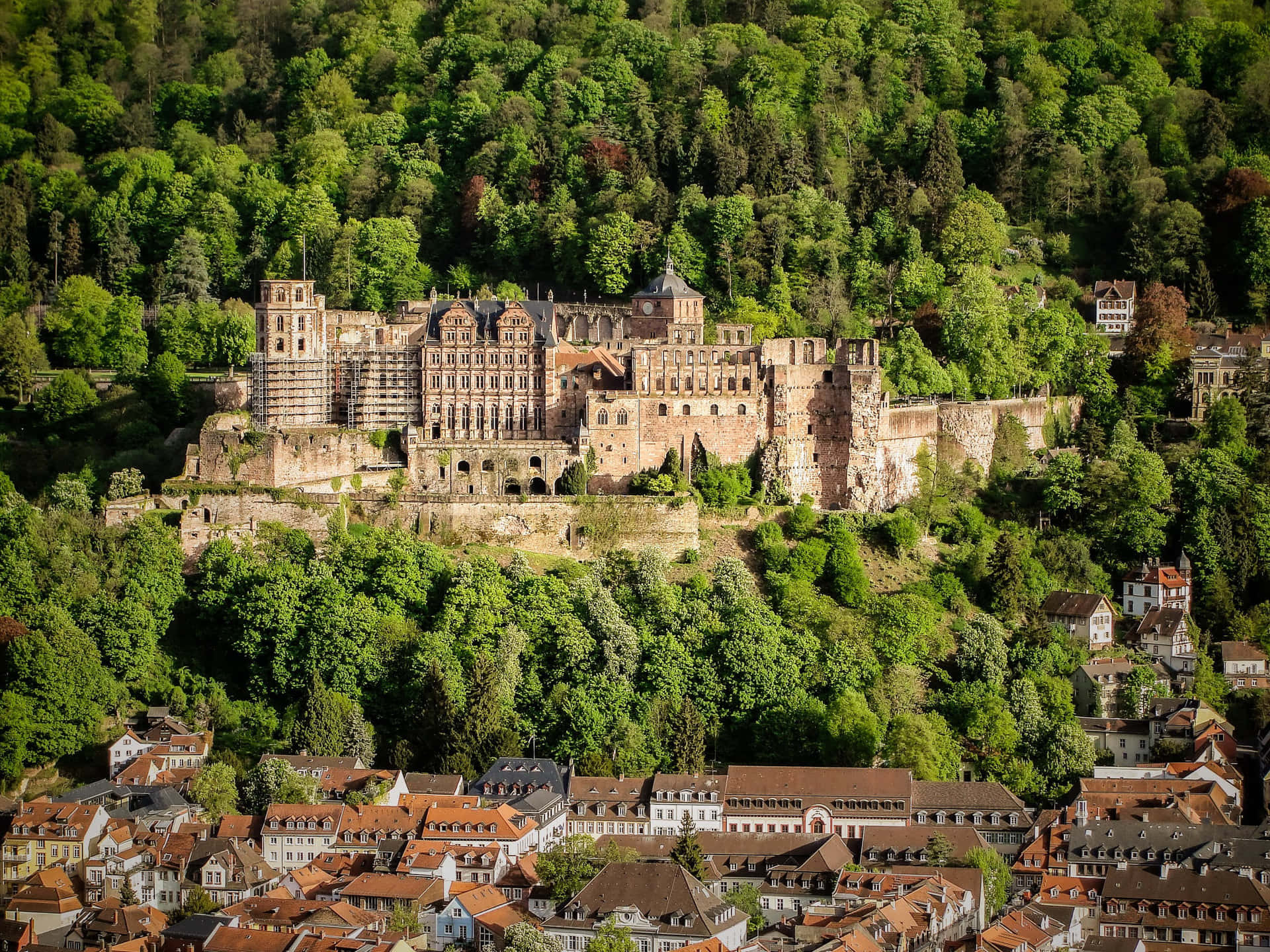 Complete View Of Heidelberg Castle Wallpaper