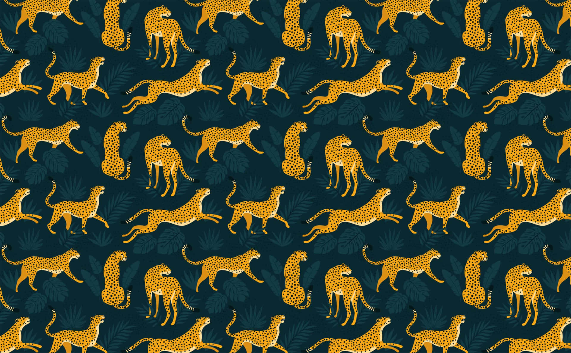 Complicated Wild Cats Wallpaper