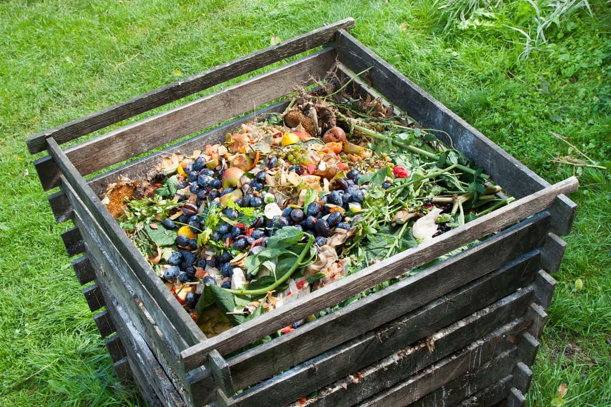 A pile of nutrient-rich compost in a garden bed Wallpaper
